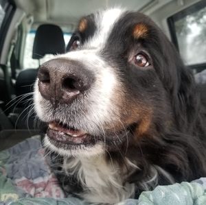 Meet your Posher, Marc